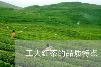 工夫红茶的品质特点/2023032135272