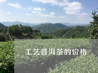 工艺普洱茶的价格/2023041028461