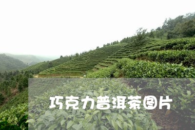 巧克力普洱茶图片/2023031694058