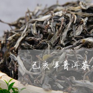 己亥年普洱茶价格/2023031681795