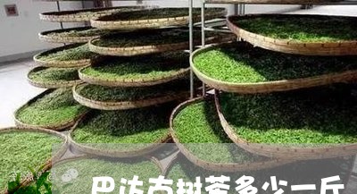 巴达古树茶多少一斤/2023032242027