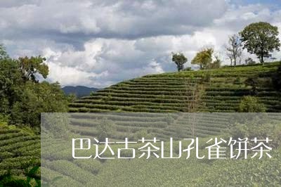 巴达古茶山孔雀饼茶/2023041606150