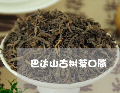 巴达山古树茶口感/2023032664936