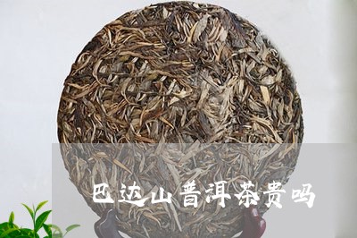 巴达山普洱茶贵吗/2023041163937