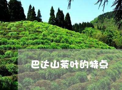 巴达山茶叶的特点/2023032613729