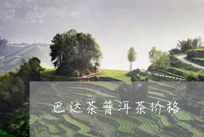 巴达茶普洱茶价格/2023041103261