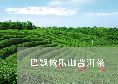 巴飘攸乐山普洱茶/2023031652503