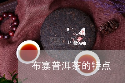 布寨普洱茶的特点/2023040171840