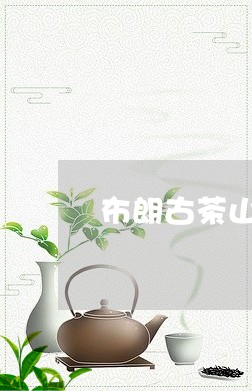 布朗古茶山老班章/2023032870594