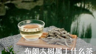 布朗大树属于什么茶/2023032069582