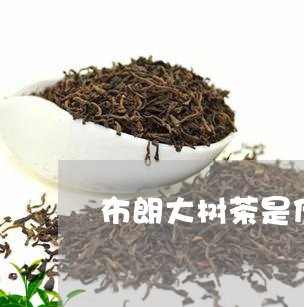 布朗大树茶是什么茶/2023041667280