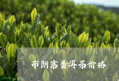 布朗寨普洱茶价格/2023041331637