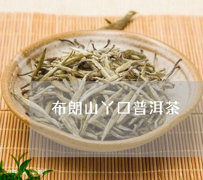 布朗山丫口普洱茶/2023040152824