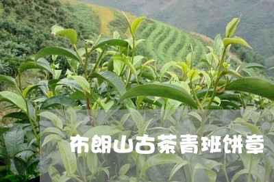 布朗山古茶青班饼章/2023032093067