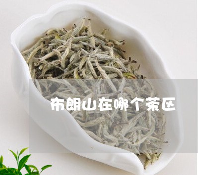 布朗山在哪个茶区/2023032400583