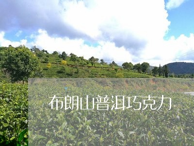 布朗山普洱巧克力/2023032990525