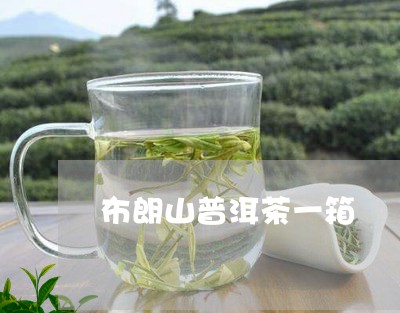 布朗山普洱茶一箱/2023033137282