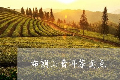 布朗山普洱茶卖点/2023041038250