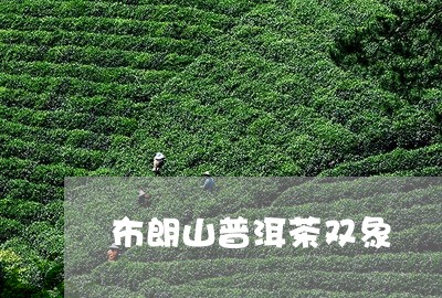 布朗山普洱茶双象/2023041064937