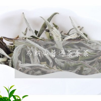 布朗山普洱茶条茶/2023031672937