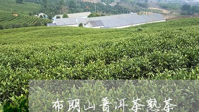 布朗山普洱茶熟茶/2023031816170