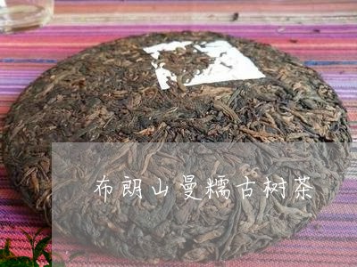 布朗山曼糯古树茶/2023032601626