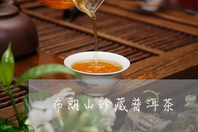 布朗山珍藏普洱茶/2023040949371