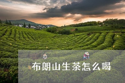 布朗山生茶怎么喝/2023041340525