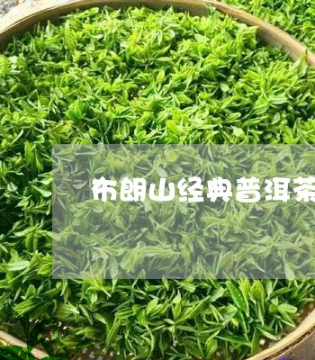 布朗山经典普洱茶/2023031690492