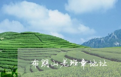 布朗山老班章地址/2023032961714