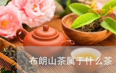 布朗山茶属于什么茶/2023041683957