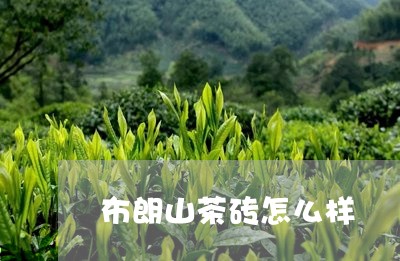 布朗山茶砖怎么样/2023032442704