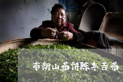 布朗山茶饼陈年苦茶/2023041630683