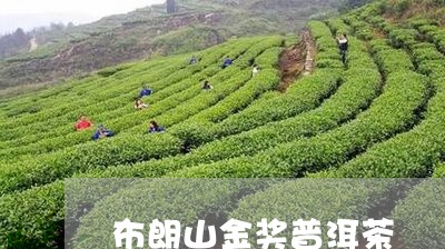 布朗山金奖普洱茶/2023041083726