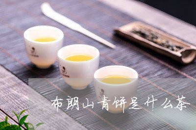 布朗山青饼是什么茶/2023032194350