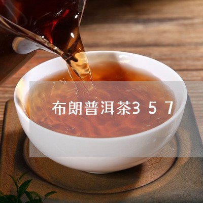 布朗普洱茶357/2023041008473