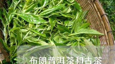 布朗普洱茶和古茶/2023041147261