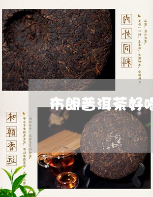 布朗普洱茶好喝不/2023041076460