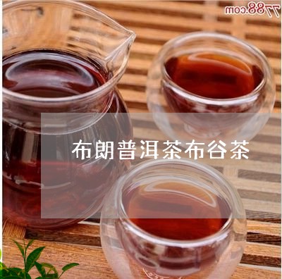 布朗普洱茶布谷茶/2023031792797