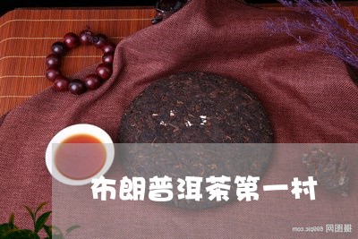 布朗普洱茶第一村/2023033093726