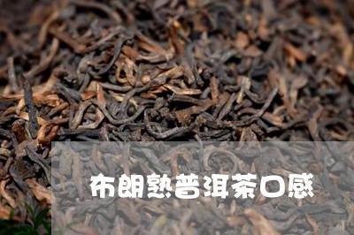 布朗熟普洱茶口感/2023041045151