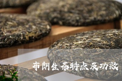 布朗生茶特点及功效/2023032246350