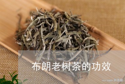 布朗老树茶的功效/2023032507260