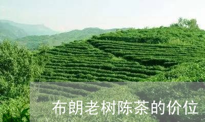 布朗老树陈茶的价位/2023032281687