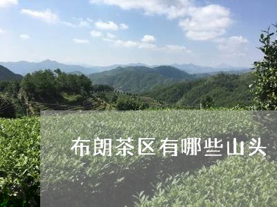 布朗茶区有哪些山头/2023041637251