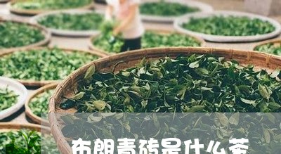 布朗青砖是什么茶/2023032464917