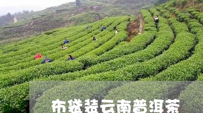 布袋装云南普洱茶/2023031811747