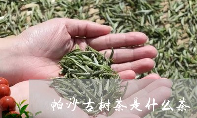 帕沙古树茶是什么茶/2023032173816