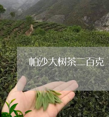 帕沙大树茶二百克/2023032548393