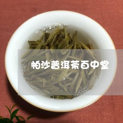 帕沙普洱茶百中堂/2023033094031